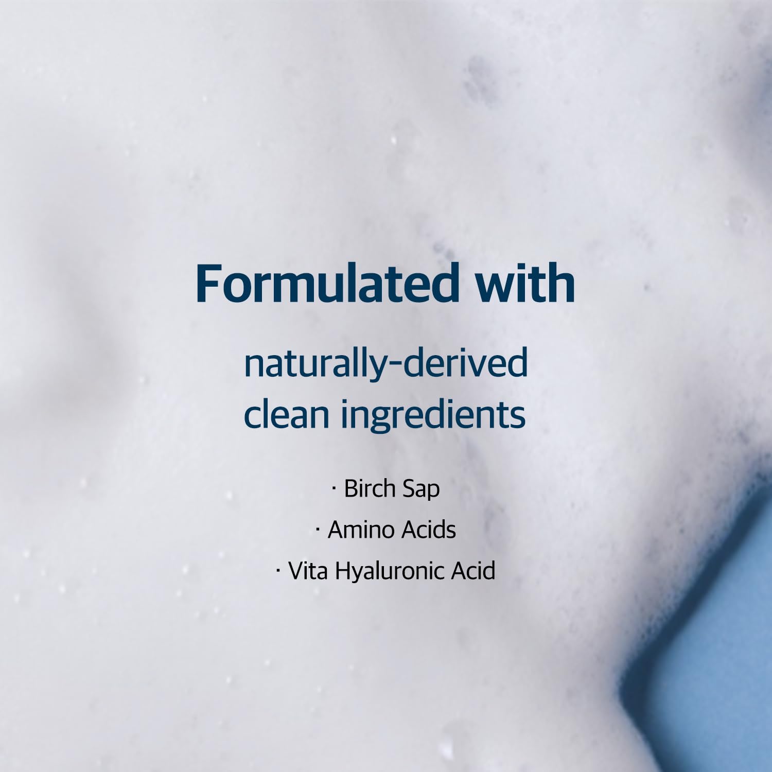 Round Lab - Birch Juice Moisturizing Cleanser