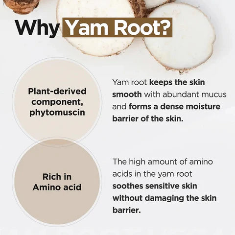 ISNTREE - Yam Root Vegan Milk Cleanser